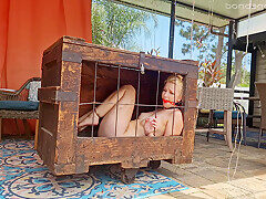 Kiwi Sweet – Uk Trapped And Cuffed In Wooden Cage