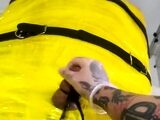 Amateur Handjob Free Webcam Porn Video