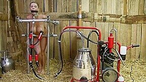 Hucow – Slave Training Bdsm