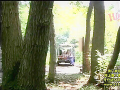 WDV183-NVXGOODZWI404462273