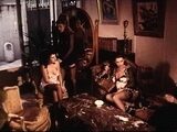Wild group sex babes fucked