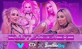 [Vr Pmv] Slut_Mod.Exe
